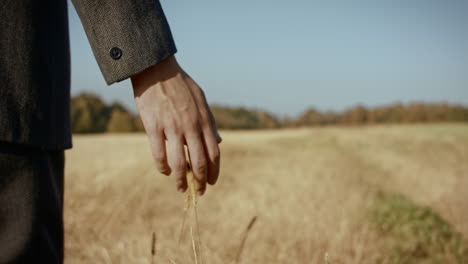 young man walking on the dried autumn field, walking past the blades of grass, touched it with the hand and walks away