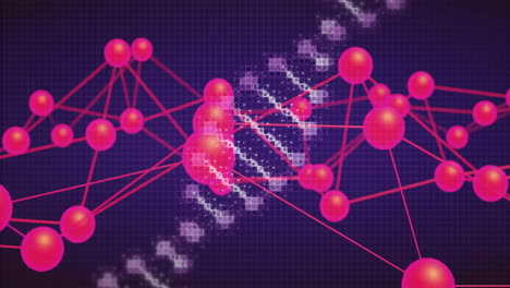 red de conexiones y cadena de adn, animación de procesamiento de datos científicos