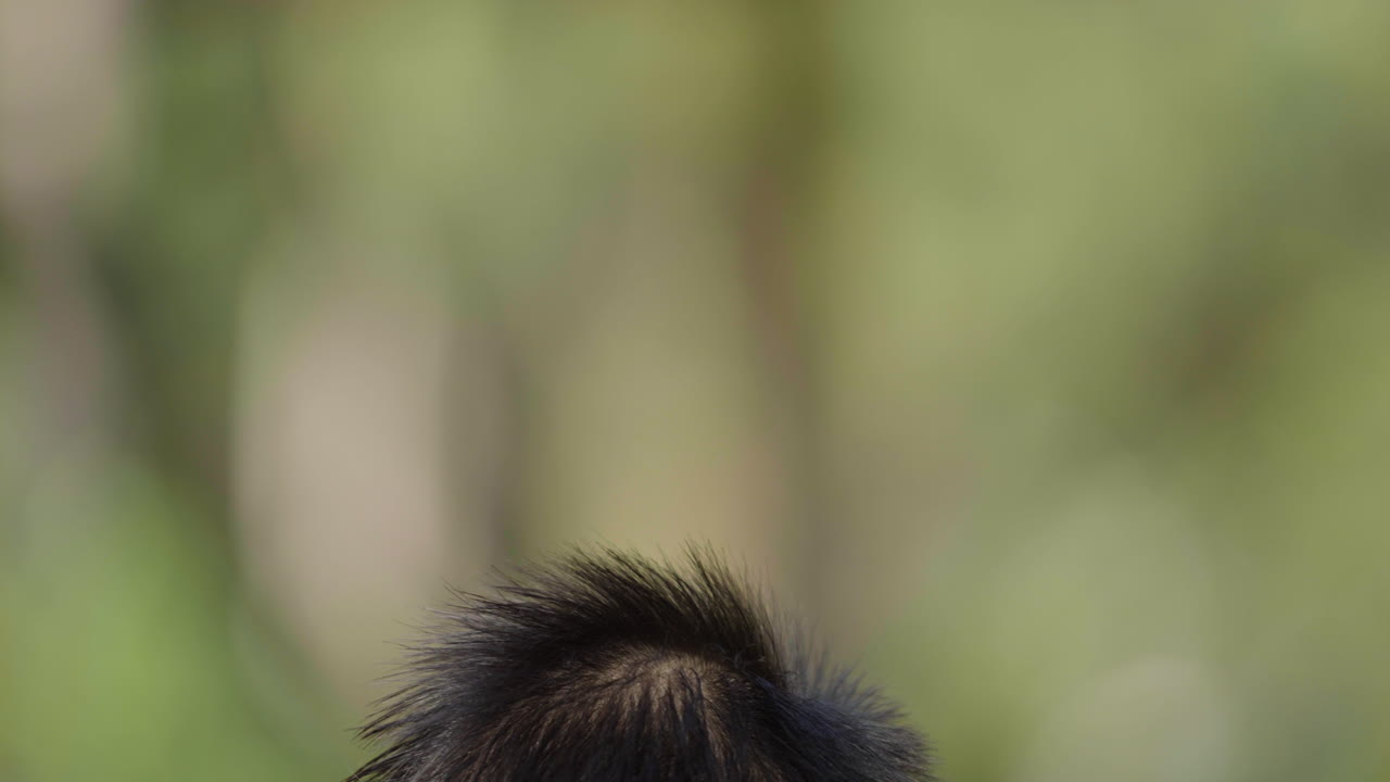 어머니 와 함께 놀고 있는 행복 한 아이
