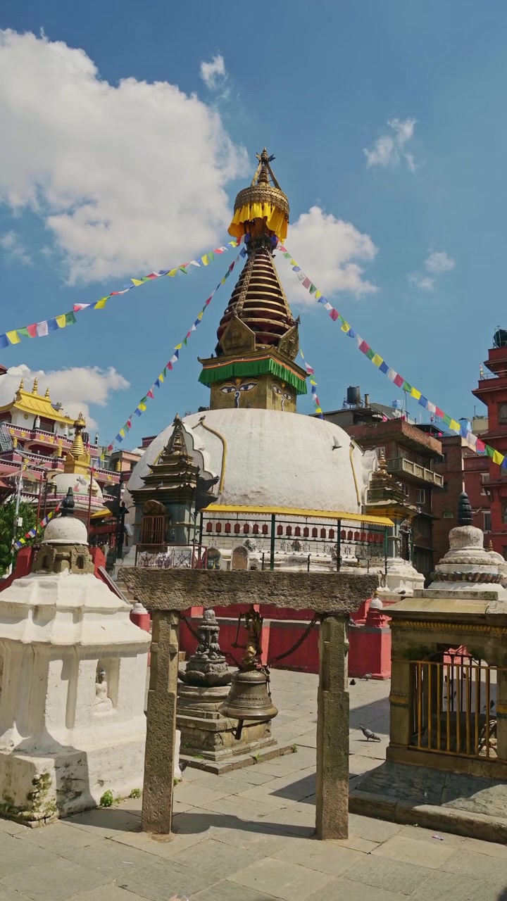 Kyyhky temppelissä Kathmandussa Nepalissa, pystyvideo sosiaaliseen mediaan Instagram Reelsiin ja TikTokiin kyyhkyistä ja linnuista kuuluisissa vanhoissa historiallisissa rakennuksissa Kathmandussa.