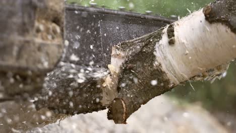 woodcutter saws tree with electric chain saw on sawmill. chainsaw used in activities such as free falling, pruning, cutting fire breaks, and harvesting of firewood. shot on super slow motion 1000 fps