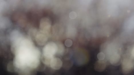 Fondo abstracto de otoño con bokeh