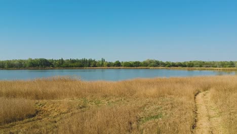 Afternoon-countryside-drone-view-from-closer-waterside-destination-and-natural-place