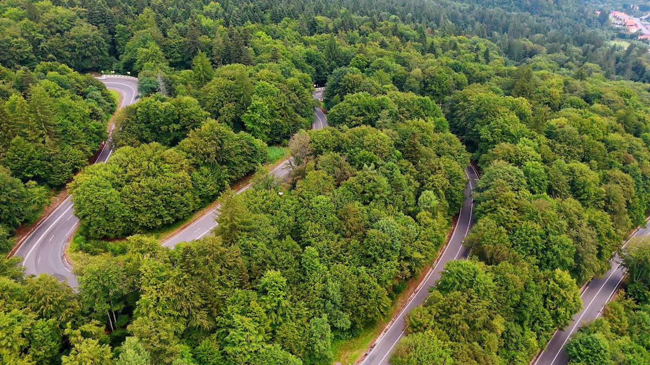 Winding forest roads viewed from above. Curved roads weave through dense green woodland with passing cars