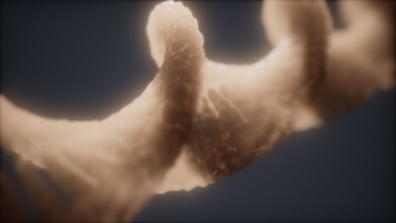 dna 이중 나선 애니메이션의 루프 가능한 구조