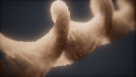 dna 이중 나선 애니메이션의 루프 가능한 구조