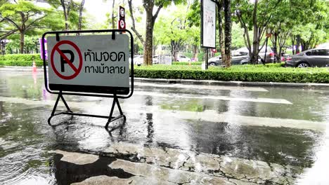 no parking sign on zebra crossing in thai language in thailand with car park in background