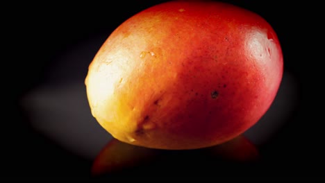 mango jugoso húmedo con deliciosas gotas de agua en la piel roja jugosa gira en cámara lenta sobre fondo negro