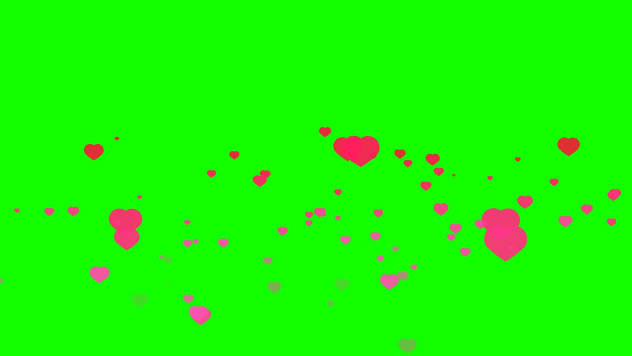 어두운 분홍색으로 태어나 죽은 빨간색으로 녹색 스크린에서 날아다니는 심장