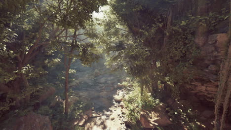 camino del bosque iluminado por el sol