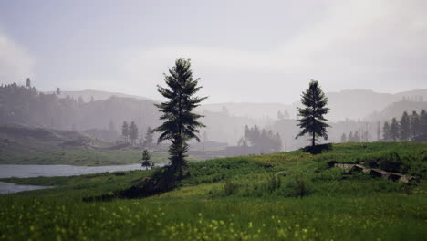 serenity of lush green landscape with tranquil water under soft light