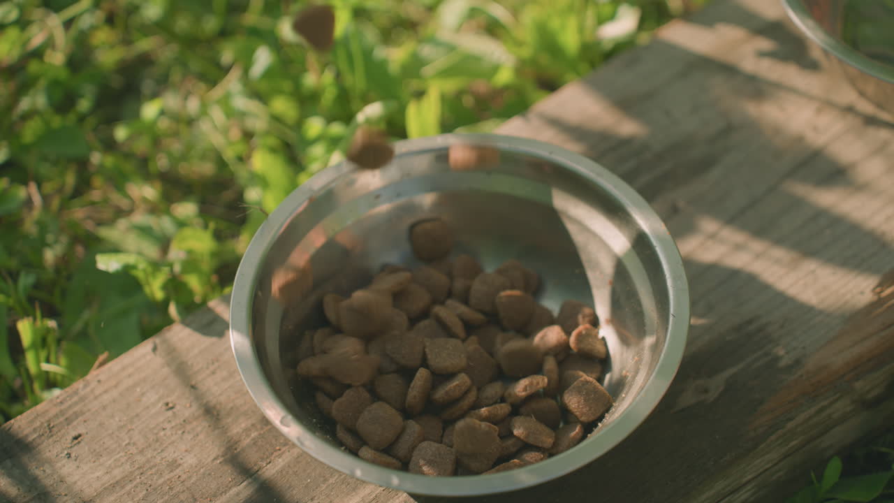 Dog feed being poured into metal bowl outdoors on a wooden plank as some spill onto the grass. Insect flies out of cup, another empty metal bowl rests nearby