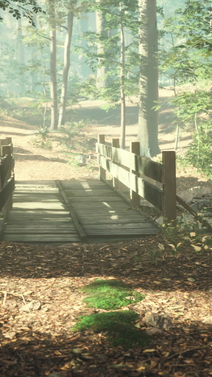 공원 에 있는 작은 하천 을 가로지르는  ⁇ 은 나무 다리