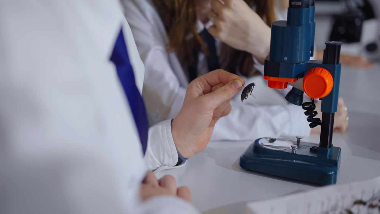 Students examining a bug under a microscope in a biology class.