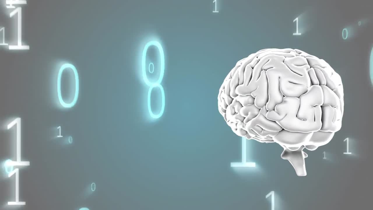 cerebro humano y códigos binarios