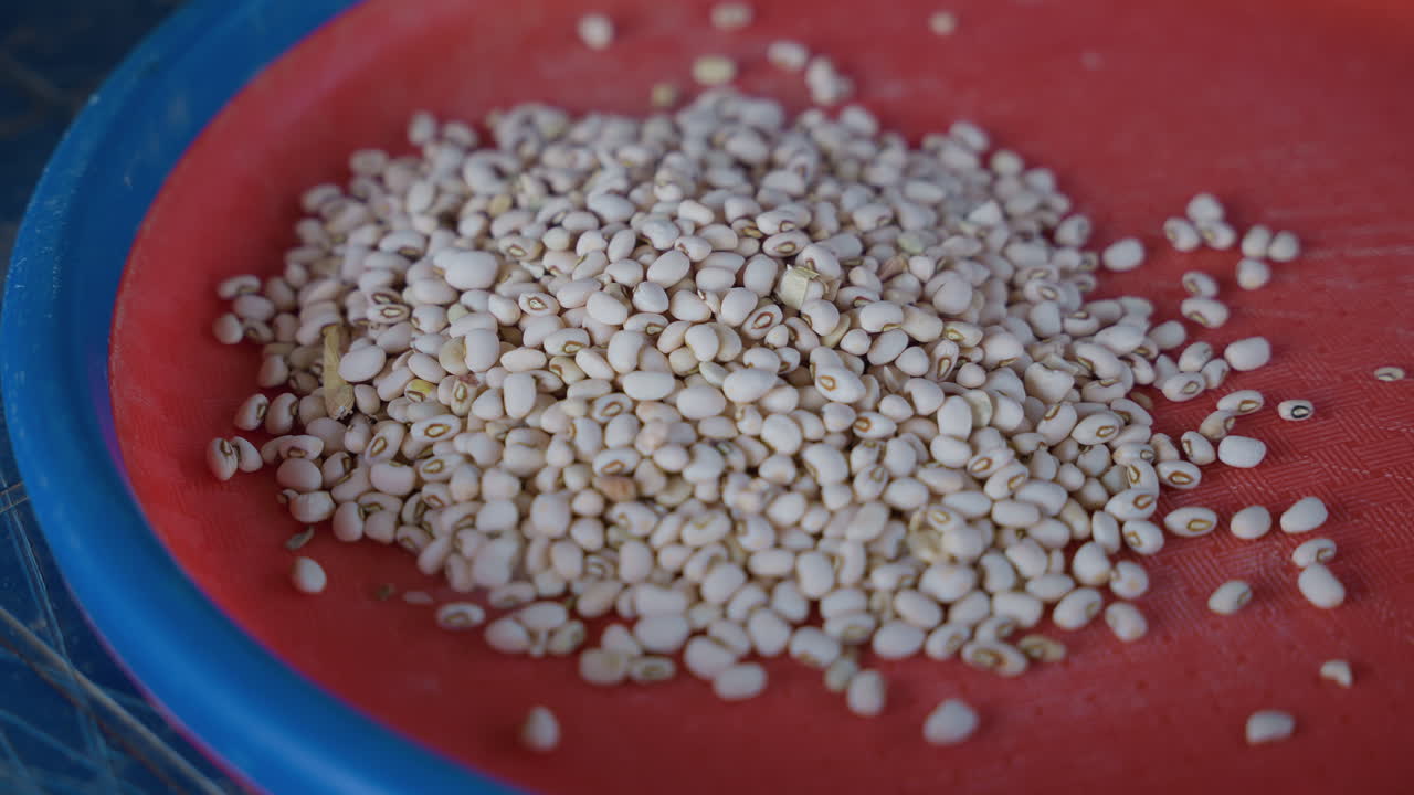 Piatto da cucina con mucchio di miglio bianco, scena di faccende domestiche che mostra un primo piano di chicchi crudi su un piatto rosso con bordo blu, mucchio testurizzato per la preparazione in dispensa e la cottura, ingrediente naturale biologico pronto.
