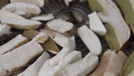 Close-up-of-mushrooms-drying-in-the-kitchen