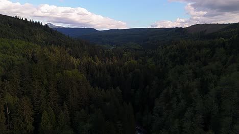 Toma-Escénica-De-Naturaleza-Aérea-Volando-Sobre-Bosques-Siempre-Verdes-Y-Paisajes-En-Carbonado,-Estado-De-Washington.