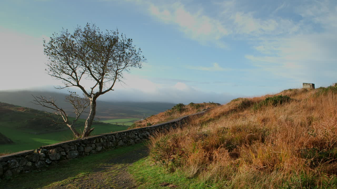 en un campo irlandés montañoso con una pared de árboles de piedra