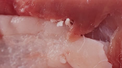 close-up of raw meat