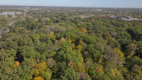 Flyover-heavily-treed-area-of-Forest-Park-in-St