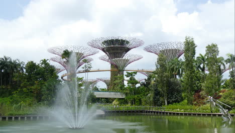 Arboleda-En-El-Jardín-Junto-A-La-Bahía,-Singapur.