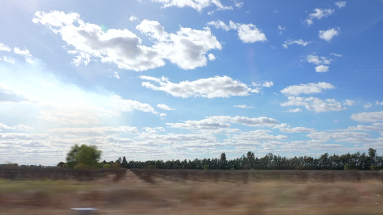 Looking out of car window driving by orange fields and agriculture near Griffith, NSW, Australia