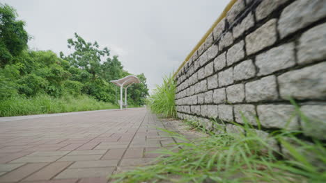 Bodennahe-Fahrt:-POV-Bewegung-In-Der-Nähe-Von-Gras-Und-Gehweg-In-Zeitlupe