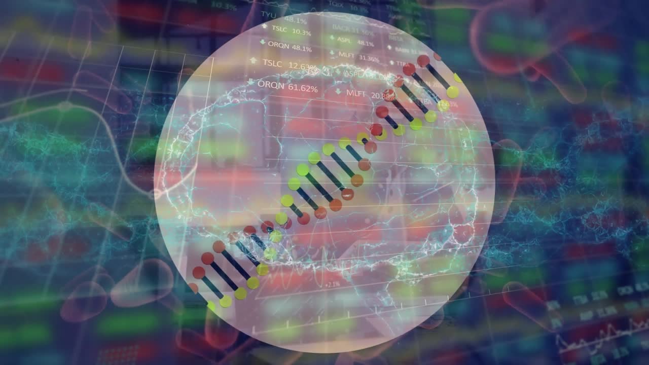 Animation of dna structure, blood vessels and human brain icon against stock market data processing