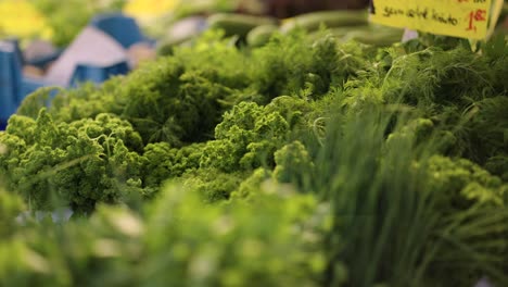 person take bunch of fresh and green curly parsley on vegetable shop