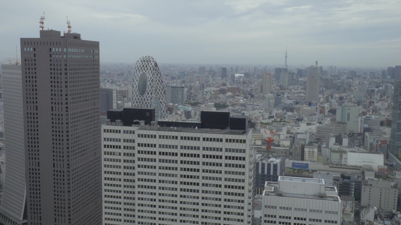 日本、東京、新宿区の近代的な東京のスカイライン。高層ビル群の都市景観。