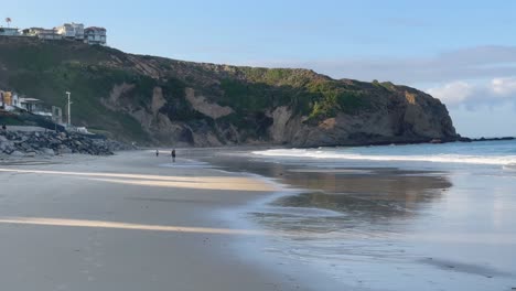 a beautiful beach in dana point, california