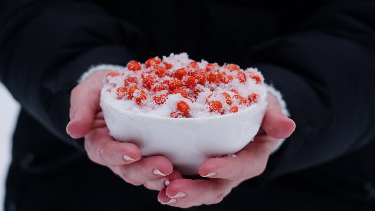 겨울 에 눈 으로 인 베리 가 있는 그 을 들고 있는 여자