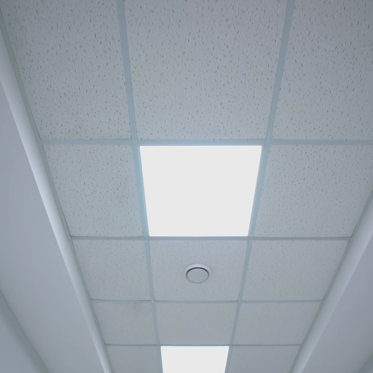 Ceiling lights custom designed. White ceiling with neon lights in the office