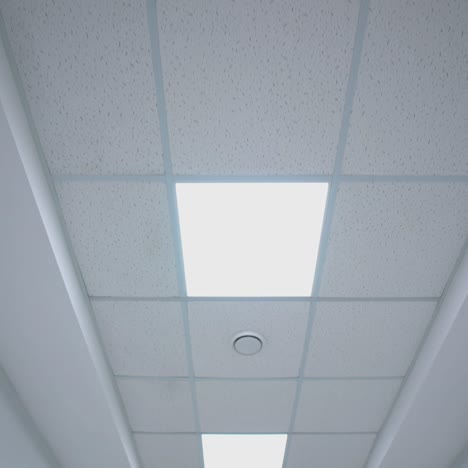 ceiling lights custom designed. white ceiling with neon lights in the office