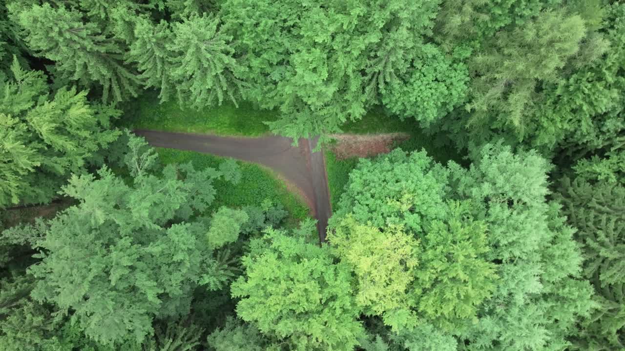 Secret path hidden in the forest. Crossroads of paths among dense green conifers. Aerial view