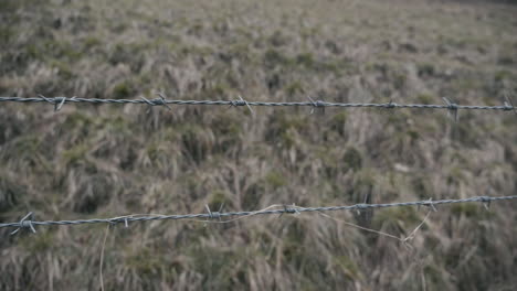 alambre de púas en una cerca