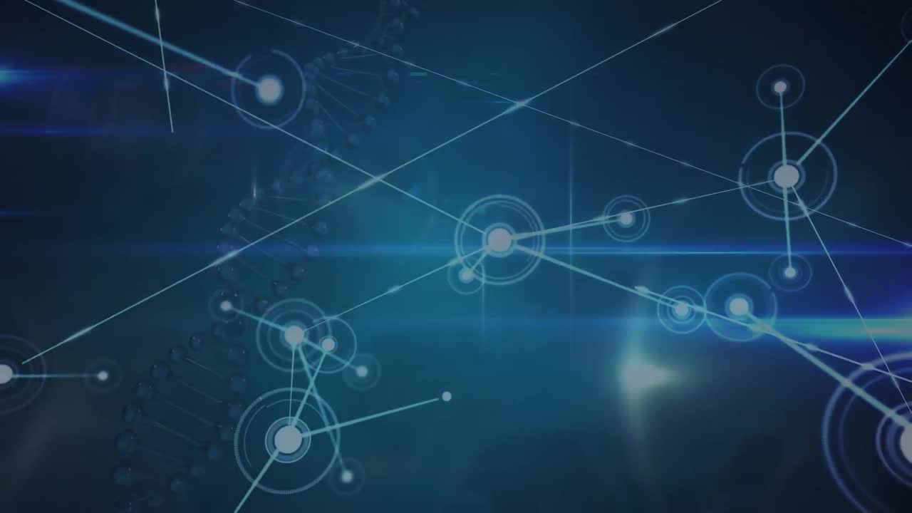 animación de la red de conexiones sobre un fondo oscuro