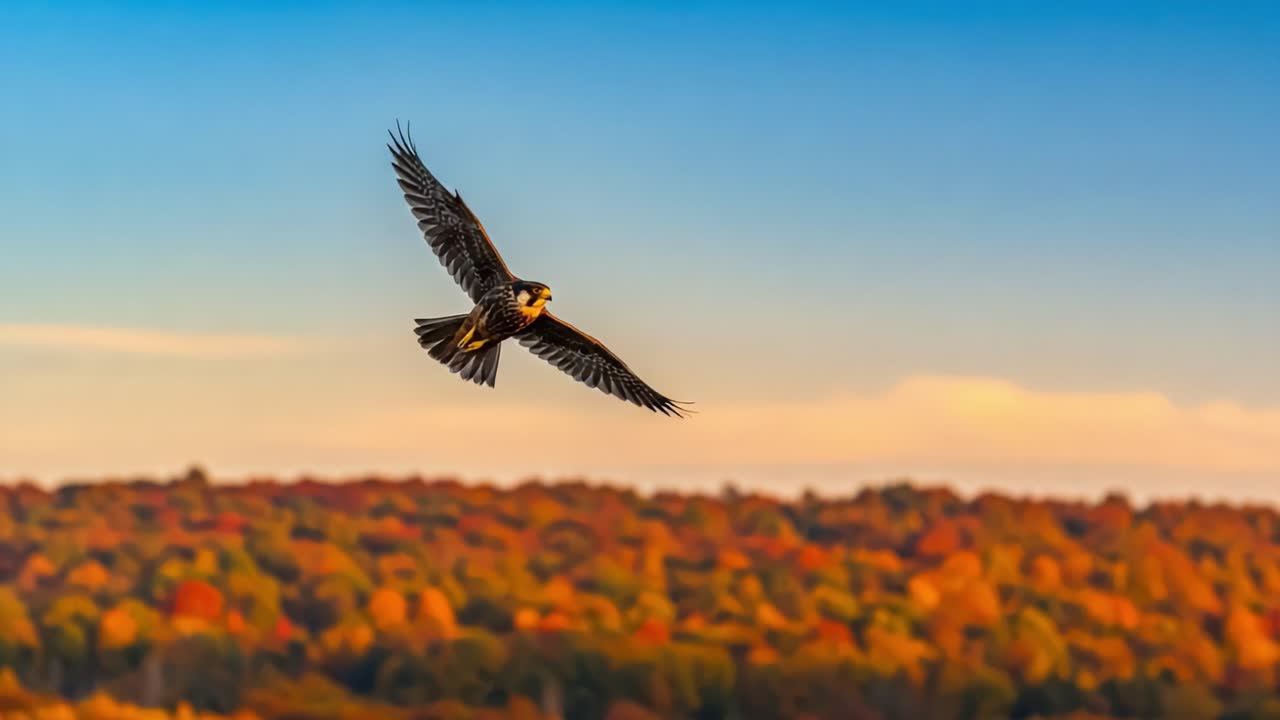 A Majestic Bird Soars Through a Vibrant Autumn Landscape, Capturing the Beauty of Nature in a Perfectly Executed Flight Amidst Colorful Foliage
