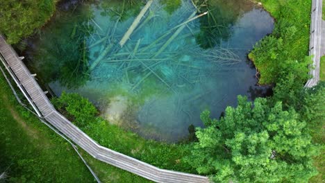 scenic blue lake in austria, aerial