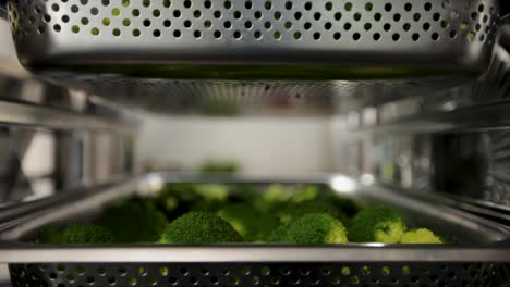 fresh broccoli steaming in an industrial kitchen oven, from an interior perspective, shallow focus