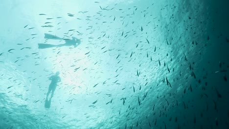 Underwater-upward-view-in-clear-ocean-of-small-fish,-two-freedivers-at-surface