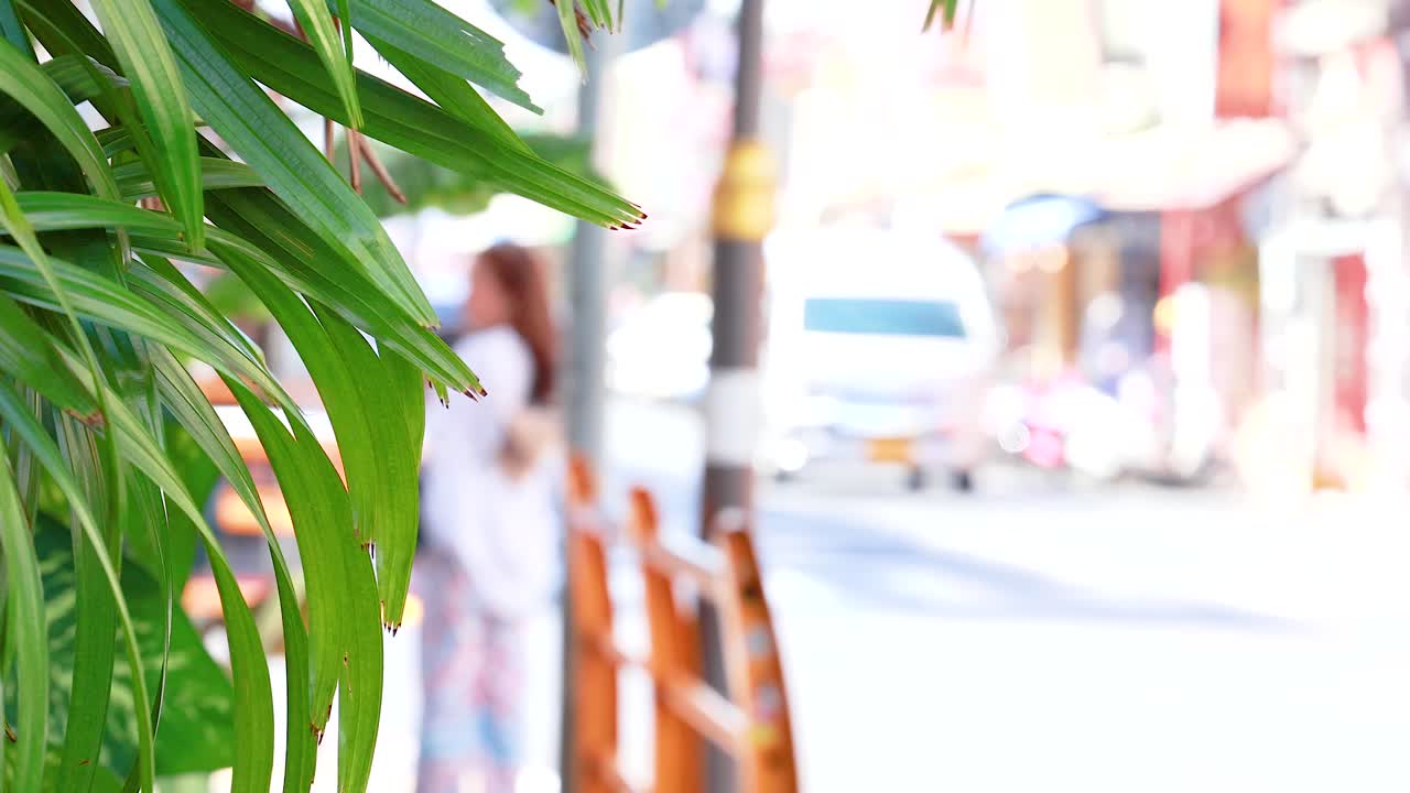 A tourist walks along a lively street in Phuket, Thailand, surrounded by greenery and passing vehicles