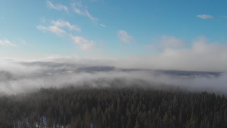 Fog-covered-forest-from-above.-In-Trysil,-Noway