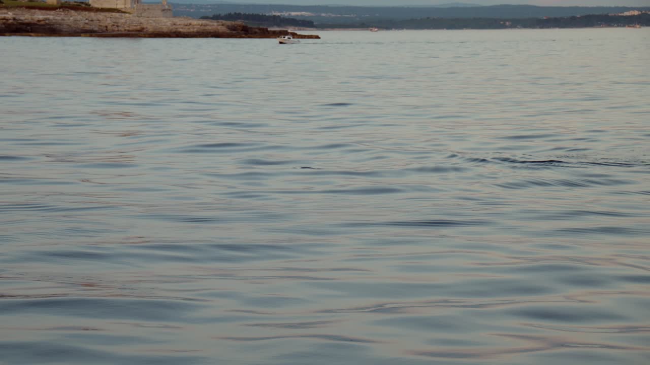 Manada de delfines capturada en cámara lenta durante una excursión.