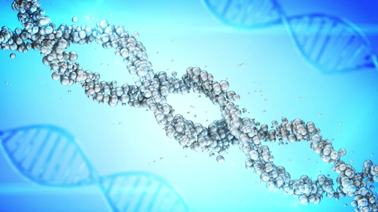 과학 dna 줄기 게 의학 느린 동영상 생화학 약품