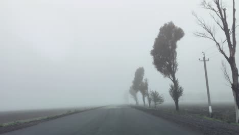 foggy road and road markings. horizontal image. bad visibility