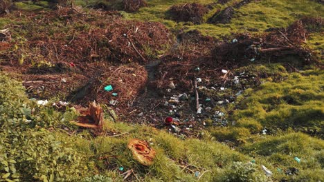 shot revealing pollution in green nature, trash, machachi, ecuador