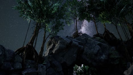 rutas estelares de hiperlapso de 4k sobre paredes y árboles de cañones de piedra arenisca