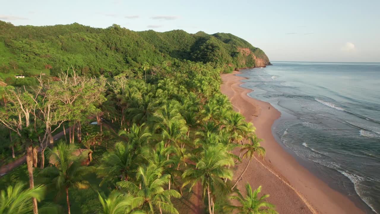 Aerial view of lush palms and serene beach in Puy Puy, Venezuela